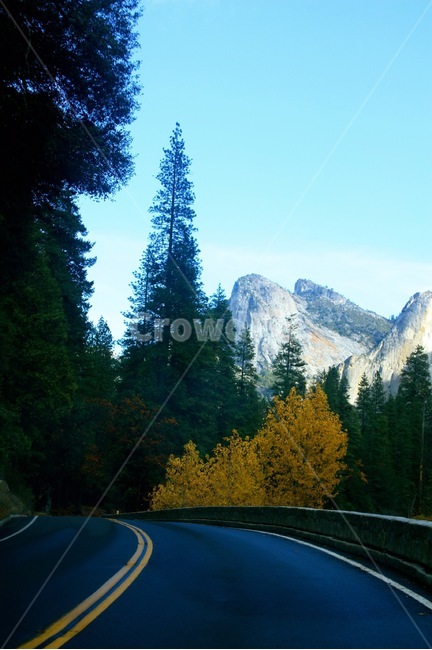 yosemity,요세미티,미국,국립공원,도로,나무,숲,힐링,자연,풍경,nature,landscape,해외,외국,세계,foreign,oversea,world,세계자연풍경,해외자연풍경,외국자연풍경,world nature landscape,tree,plant,식물,fir,전나무,abies,아비