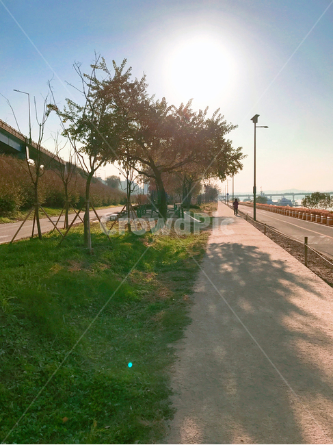 길,산책,산책로,나무,풀,도시,풍경,city,landscape,한국도시풍경,한국도시경관,korea cityscape,path,통로