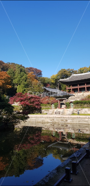 궁궐,전통,한옥,가을,낙엽,traditional,한국,korea,korean,연못