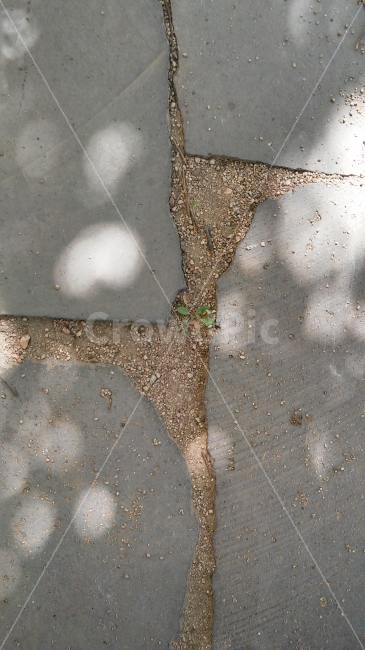 길,돌,해살,그림자,생명