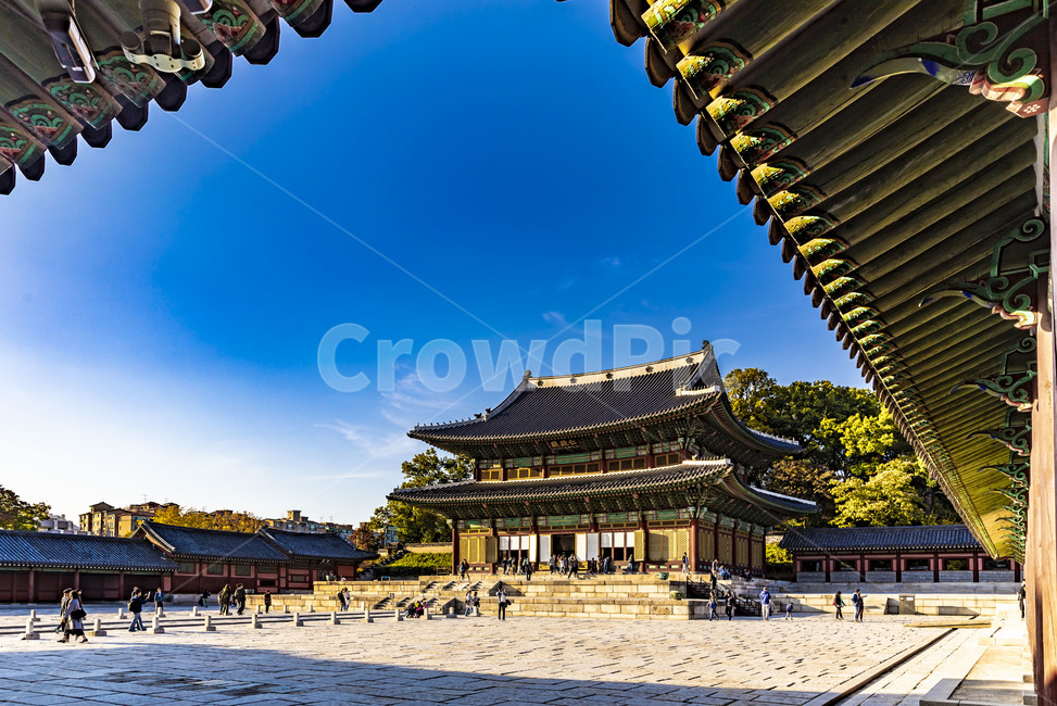 창덕궁,인정전,관광지,궁궐,고궁,전통건축,문화유산,문화재,기와지붕,전통기와,추녀,단청,건축물,건물,한국전통,한국문화,korean traditional,korean culture,랜드마크,landmark,tourist attraction,한국랜드마크,한국관광지,한국명소,korea landmark,korea tourist attraction,건축물,건물외관,exterior,building,structure,architecture,construction