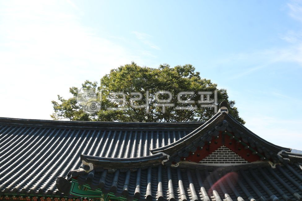 고려궁,궁,기와,기와집,한옥,하늘,정원,마당,나무,초록,풀,녹색,가을,roof,지붕