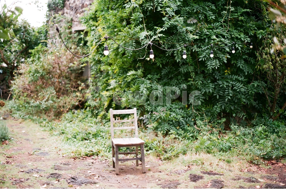 풍경사진,의자,덩쿨나무,덩쿨,조명,필름사진,필름카메라,감성,sensible,feeling,사물,물건,오브젝트,thing,object,matter