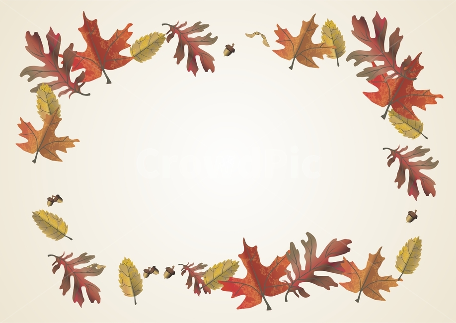 가을,낙엽,배경,나뭇잎,갈색,낭만,가을,계절,fall,autumn,season,그래픽,일러스트레이션,graphic,illustration,leaf,잎,plant,식물,maple,단풍,tree,나무