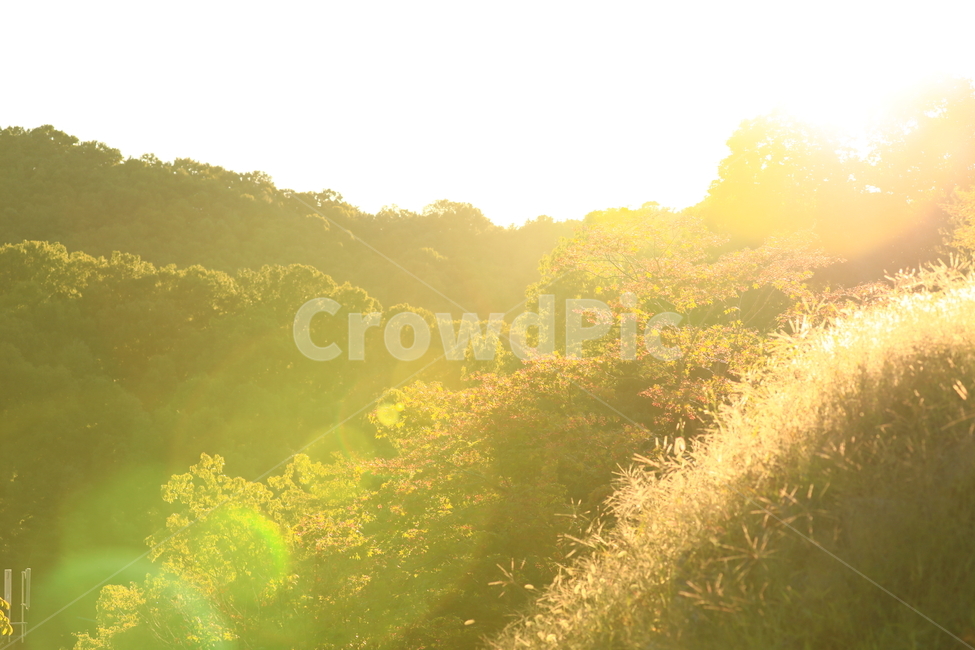 산,가을,빛,자연,nature,자연,풍경,nature,landscape,휴식,힐링,rest,relaxation,healing,light,flare,플레어,sunlight,햇빛