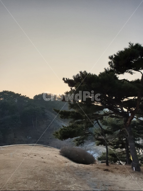 상당산성,산,나무,잔디,풍경