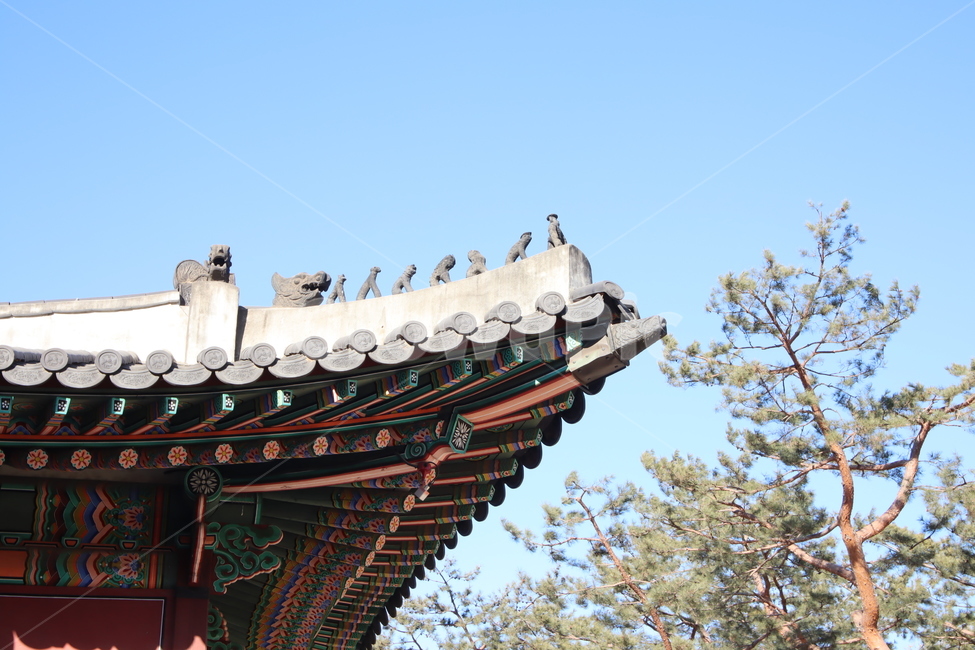덕수궁,기와,단청,전통,하늘,한국,배경화면,풍경,한국전통,한국문화,korean traditional,korean culture,건축물,건물외관,exterior,building,structure,architecture,construction