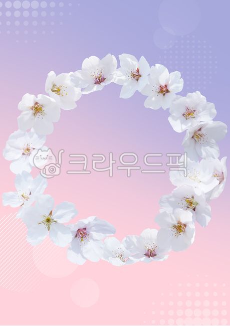 배경,백그라운드,계절,자연,식물,시즌,봄,그래픽,합성,포스터,브로슈어,표지,배경화면,이벤트,테두리,프레임,봄꽃,꽃,벚꽃,리스,화관,패턴,frame,blank,vintage,wreath,celebration,garden,template,decorative,pink,white,blossom,cherry,sakura,wedding,beautiful,bloom,poster,spring,season,plant,petal,nature,natural,romantic,invitation,card,greeting,graphic,flora,decoration,botanical,wallpaper,background,floral,flower