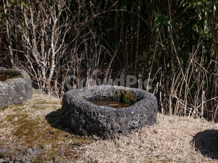 제주,제주도,돌문화공원,현무암,화산석,제주석,제주돌문화공원,이끼,흔적,돌절구,ground,바닥