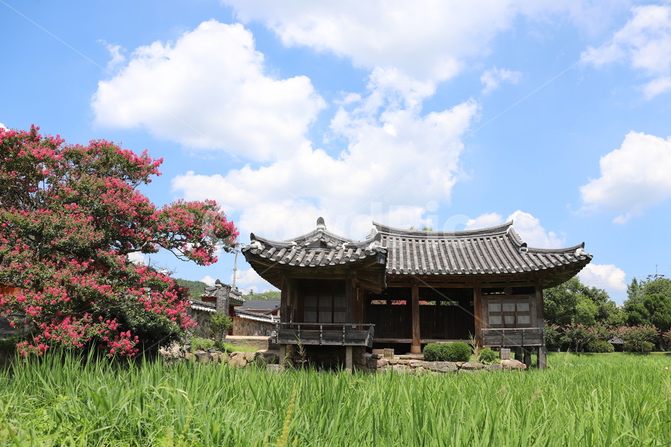 경주,서출지,배롱나무,통일전,역사