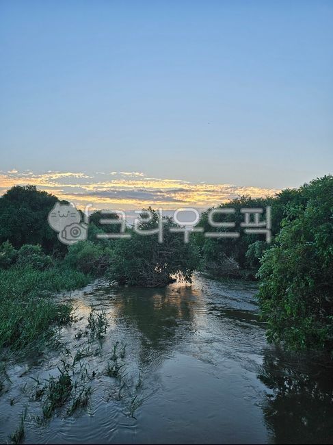 nature, 자연, 풍경, 강가, 일몰, 사진,이미지,일러스트,캘리그라피 - mslick작가