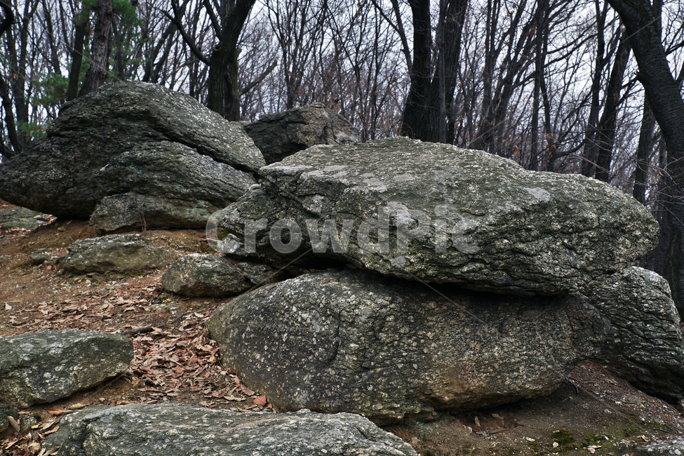 모락산,산,의왕시,자연,바위,나무,낙엽,계절,암석,자연,풍경,nature,landscape