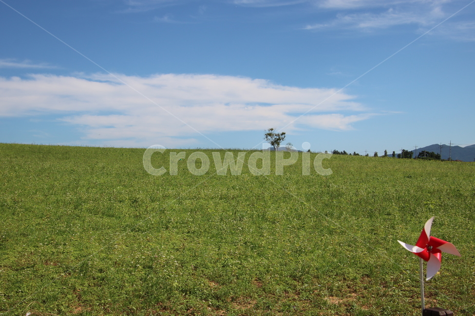 들,목초지,farm,농장,바람개비,나무,자연,풍경,nature,landscape,outdoors,옥외,grassland,field,rural,농촌