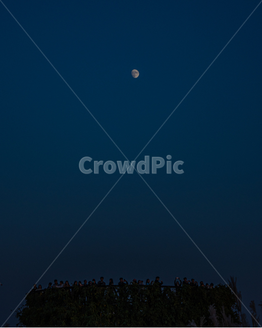 달,달빛,저녁달,둥근달,보름달,야경,밤,풍경,nightscape,night,landscape