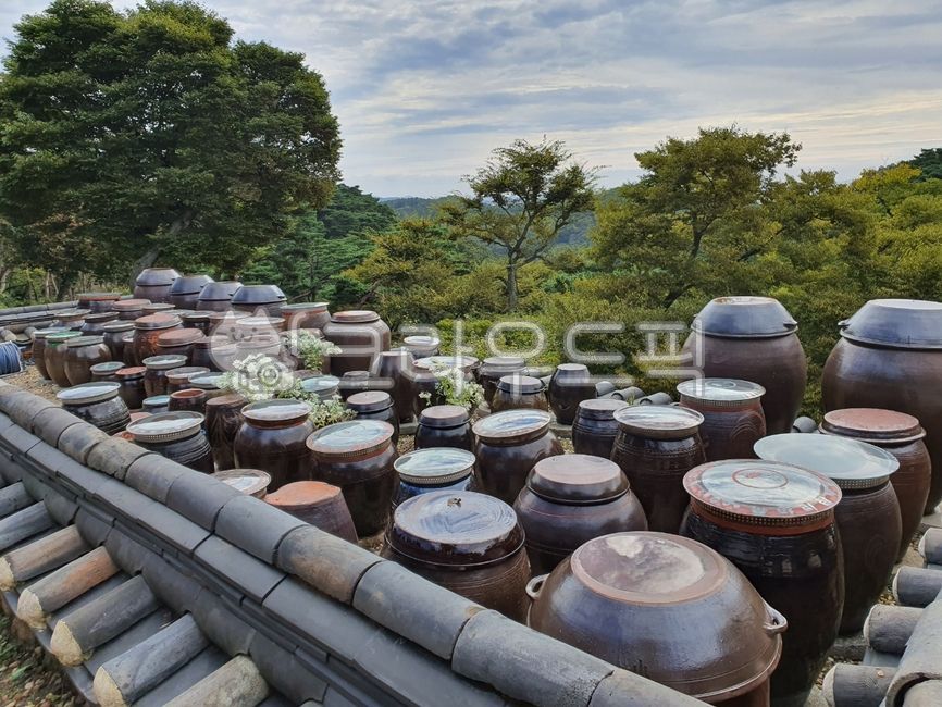장독대, 장독, 항아리, traditional, 한국적인, 사진,이미지,일러스트,캘리그라피 - 아침보리작가