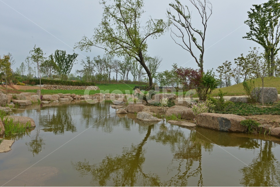 전남,순천,순천만국가정원,국가정원박람회,outdoors,옥외,nature,자연,grass,plant,식물,lawn,잔디,water,물,pond,못,반영