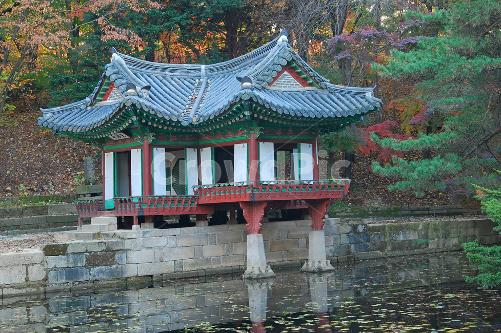 창덕궁,후원,비원,부용정,부용지,연못,정자,전통,한국전통,건축,전통건축,전통건축물,건물,가을,낙엽,단풍,계절,풍경,나무,숲,자연,명소,고궁,정원,아름다운,물,기와,서울,한국