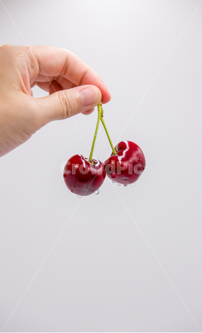 체리,과일,베리,열매,cherry,빨강색,red,디저트,음식,cook,foodreserves,fruit,컨셉,연출,누끼,과일,열매,fruit,누끼,remove background
