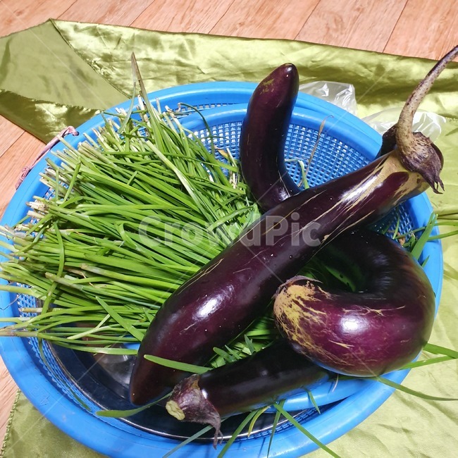 가지,부추,식물,plant,채소,eggplant,leek,vegetable,소쿠리,보자기,야채,농작물