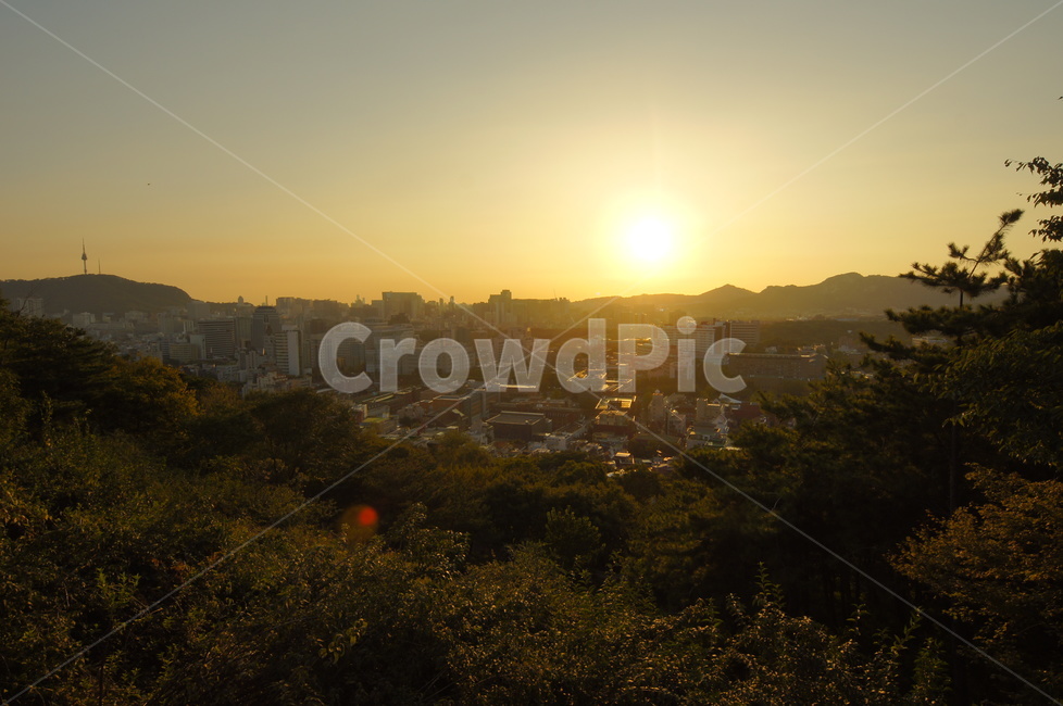 낙산공원,일몰,일출,야경,전망대,도시,남산,남산타워,산,나무,태양,하늘,빛,풍경,도시,풍경,city,landscape
