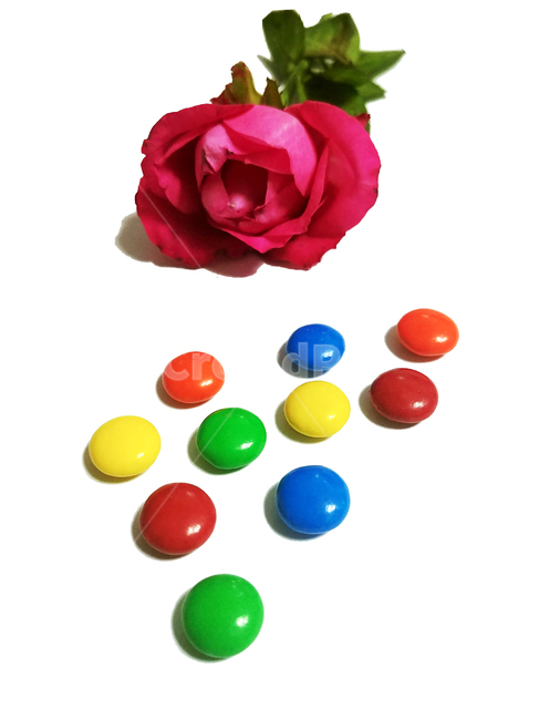 sweet,과자,초콜렛,color,rose,장미,조화,알록달록,아기자기,공간,구도,연출,컨셉,콘셉,direction,concept