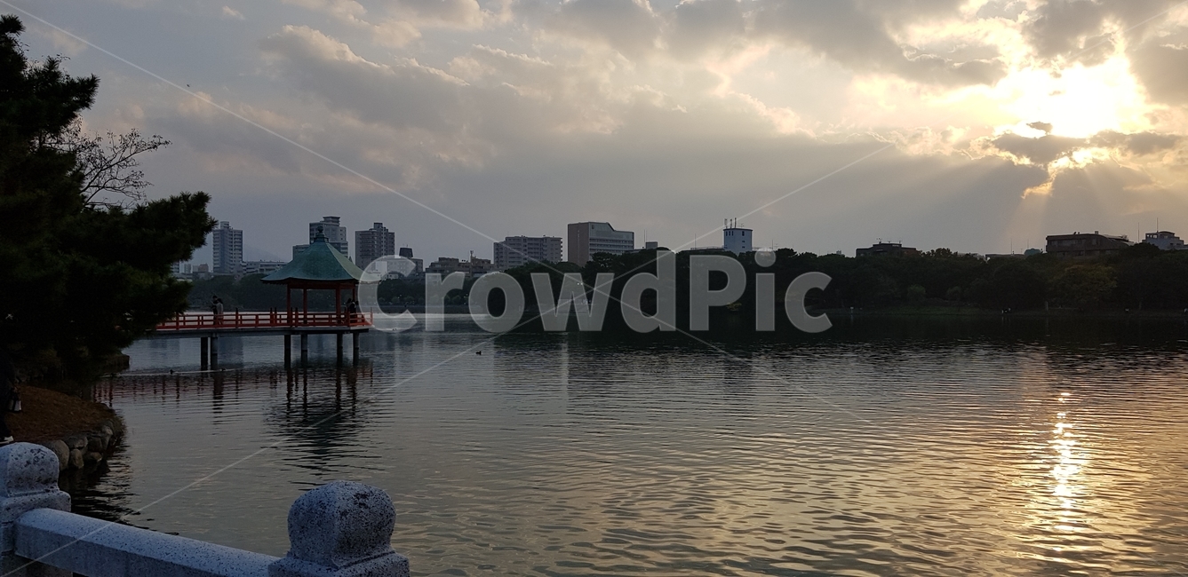 공원,정원,바다,노을,풍경