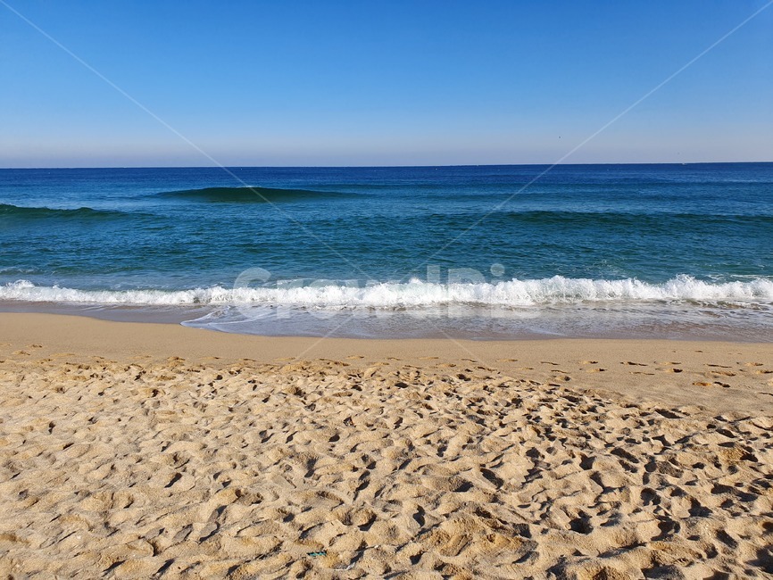 경포대,해변,바다,파도,물,해변,바다,beach,sea