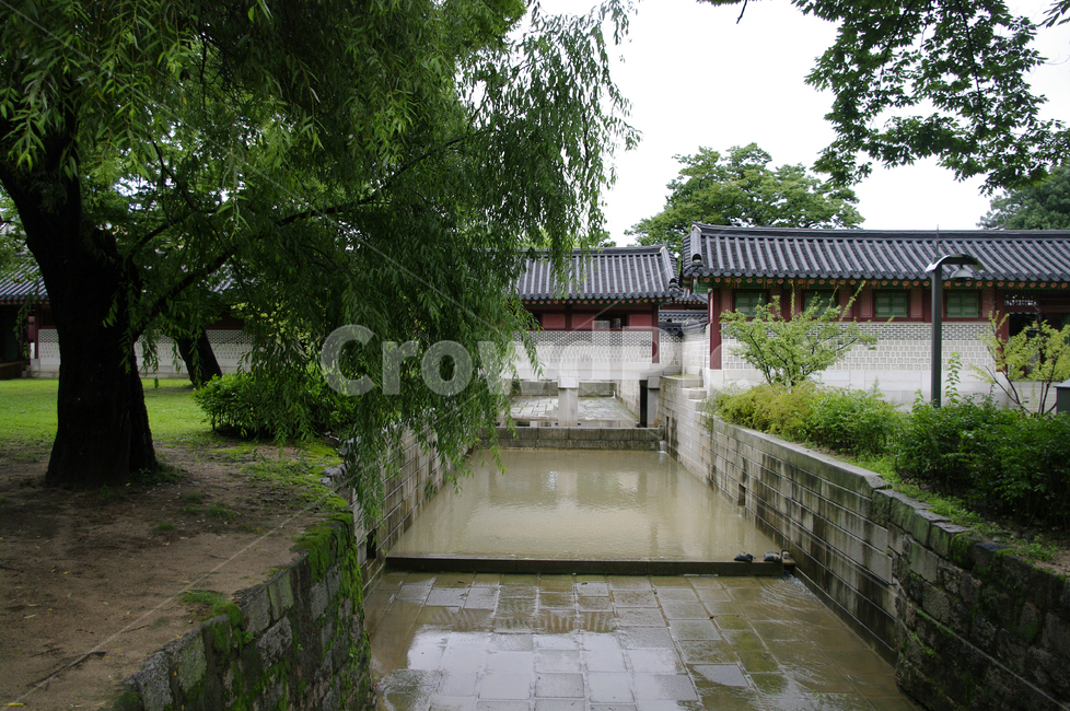창덕궁,고궁,한옥,전통가옥,기와지붕,건축,traditional,나무,한국전통,한국문화,korean traditional,korean culture,랜드마크,landmark,tourist attraction,한국랜드마크,한국관광지,한국명소,korea landmark,korea tourist attraction,건축물,건물외관,exterior,building,structure,architecture,construction