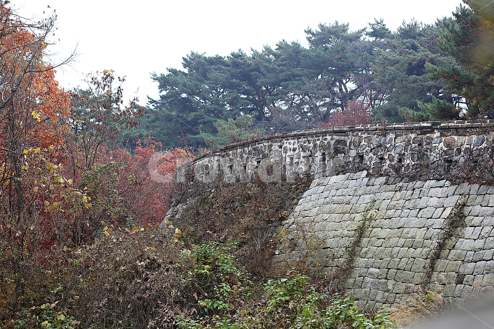 남한산성,성,성곽,단풍,낙엽,길,둘레길,숲,숲길,담,돌담,가을,자연,풍경,벽,울긋불긋,산성,식물,가을,계절,fall,autumn,season