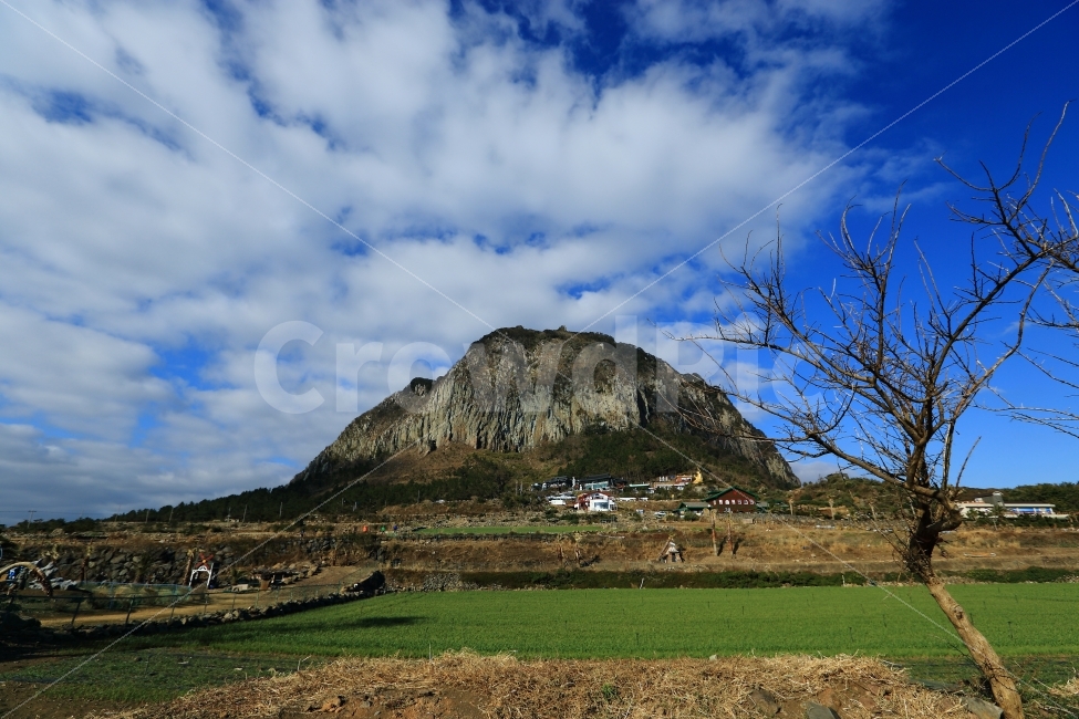 제주,산방산,파란하늘,구름,바탕화면,풍경,자연,자연,풍경,nature,landscape,한국자연풍경,한국자연경관,korea nature landscape,제주도,jeju,jeju island,outdoors,옥외