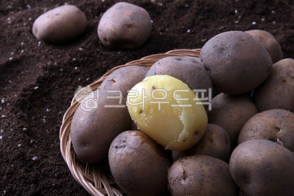 감자,삶은감자,수미감자,통감자,요리,요리재료,채소,potato,food,vegetable,야채,plant,식물,음식,음식,식재료,요리,food,cook,meal,dishes,food reserves