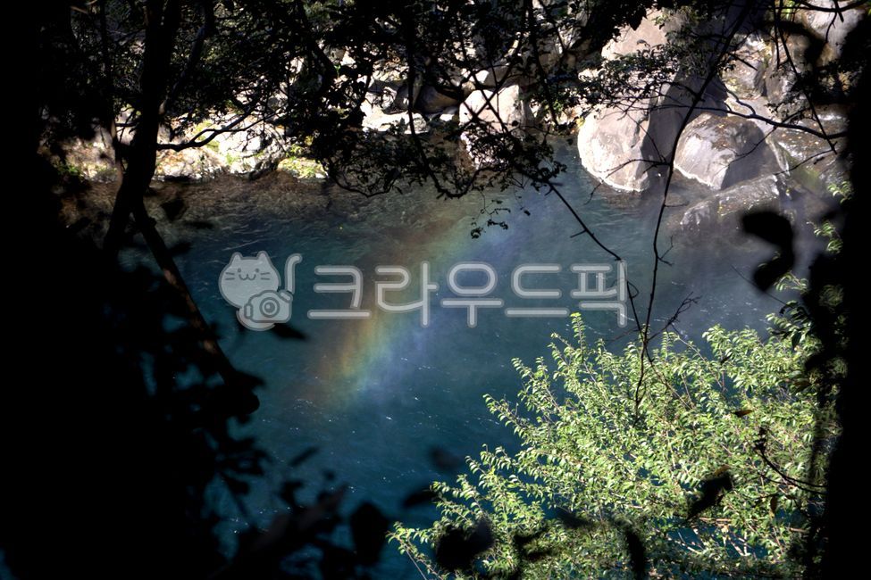 제주도,무지개,나무사이,시냇물,빛과어둠,식물,자연,물