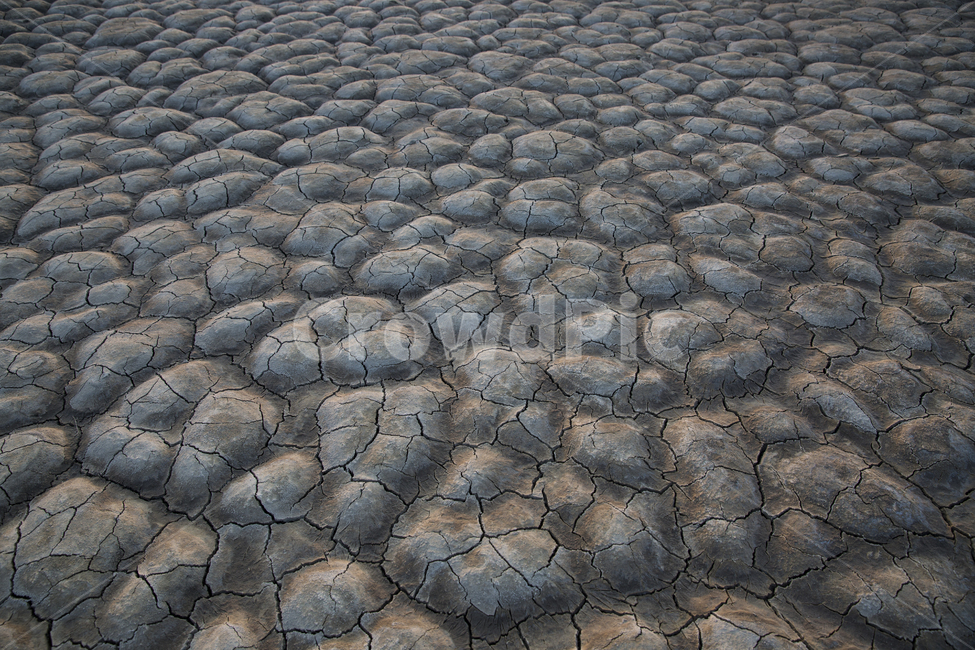 여름,자연,갯벌,마른땅,운염도,자연,풍경,nature,landscape,soil,흙,ground,바닥