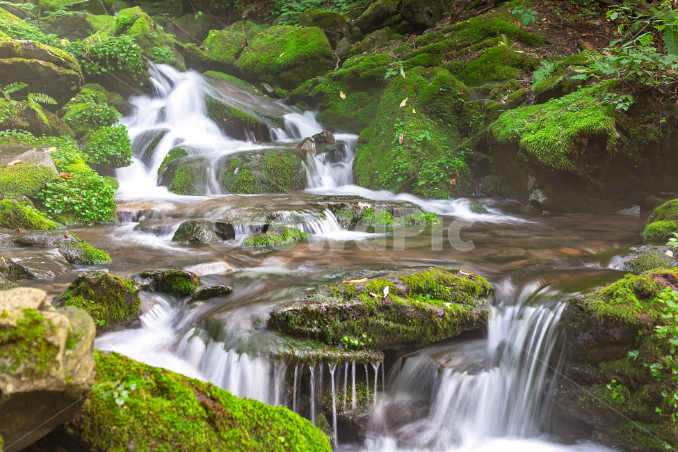 water,물,nature,자연,waterfall,폭포,이끼계곡,이끼,숲,초록,계곡,자연,풍경,nature,landscape