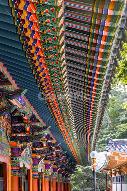 단청,문양,무늬,선,패턴,불교,사찰,전통,한국전통,한국문화,korean traditional,korean culture,건축물,건물외관,exterior,building,structure,architecture,construction