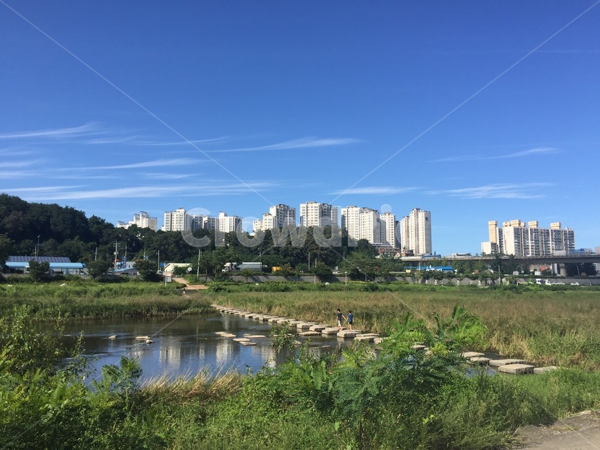 징검다리,outdoors,옥외,강,river,남대천,자연