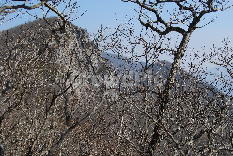 가지산,쌀바위,영남알프스,석남사숲,등산로,능선,치유,여행,돌,산행,힐링,자연,동행,등산,계절,한국,한국명산,한국등산,풍경,나무,하늘,바람,땅,식물,자연,plants,nature,나무,trees,wood