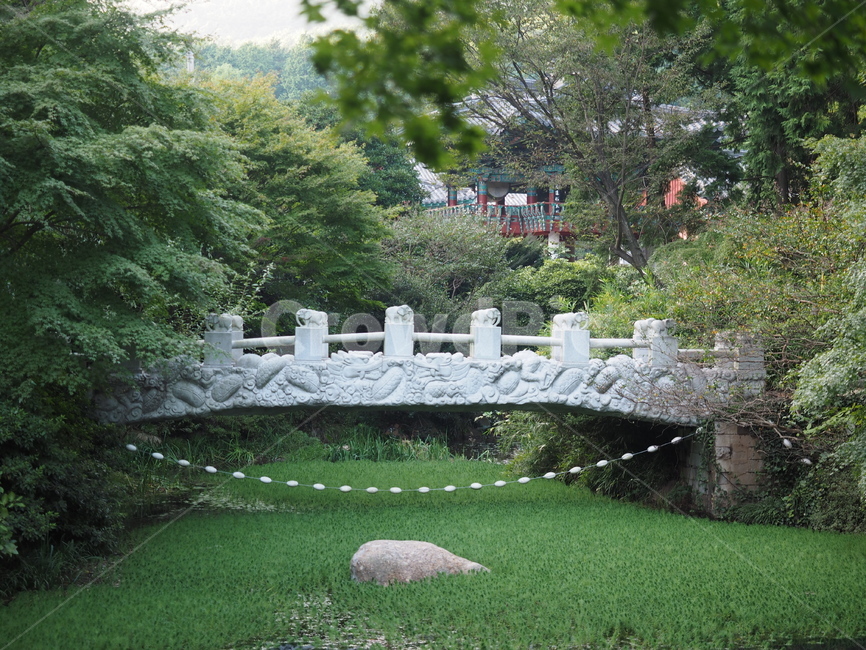 다리,자연,초록,사찰,절,연못,바위,풍경