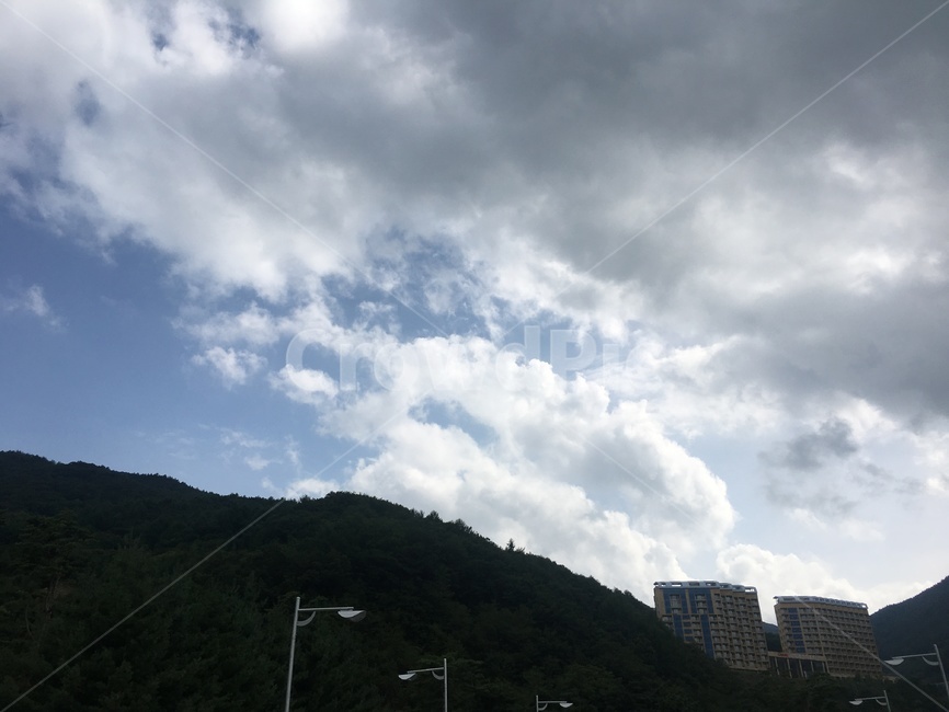 하늘,파란색,나무,구름,여름하늘,뭉게구름,자연,풍경,nature,landscape,weather,날씨,outdoors,옥외,cumulus,적운,sky,cloud