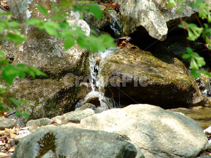 계곡,돌,물,여름,숲속,자연,풍경,nature,landscape