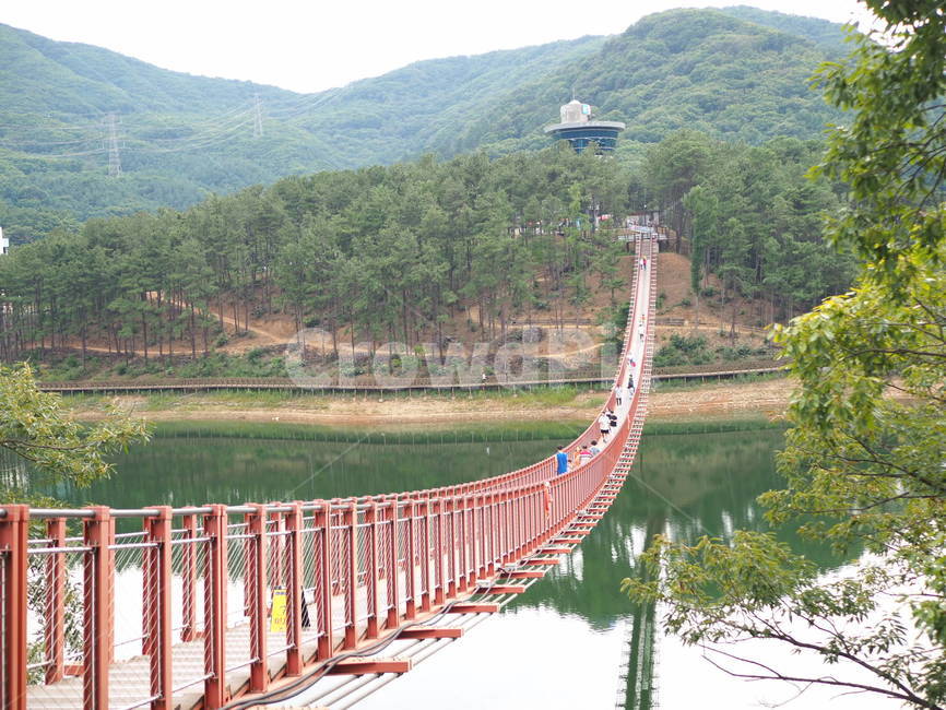 건물,다리,bridge,파주,마장호수,흔들다리,흔들,자연,풍경,nature,landscape,building