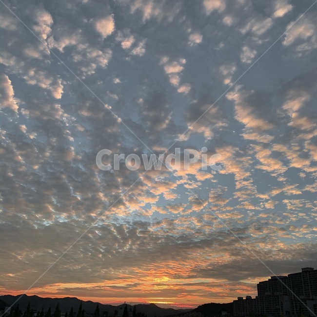 하늘,노을,자연,풍경,구름