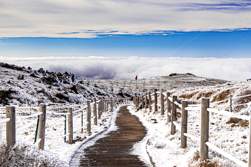 풍경,제주,자연,배경,한라산,상고대,설경,겨울,계절,winter,season,자연,풍경,nature,landscape