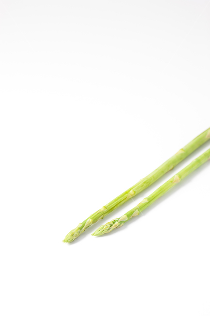 아스파라거스,asparagus,아스파라거스누끼,누끼,채소,plant,식물,vegetable,야채,food,식품,채소,야채,vegetables,연출,컨셉,콘셉,direction,concept