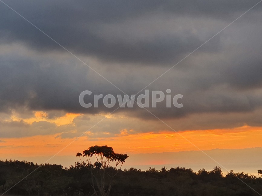 nature,자연,outdoors,옥외,sky,붉은하늘,새벽,redsky,자연,풍경,nature,landscape