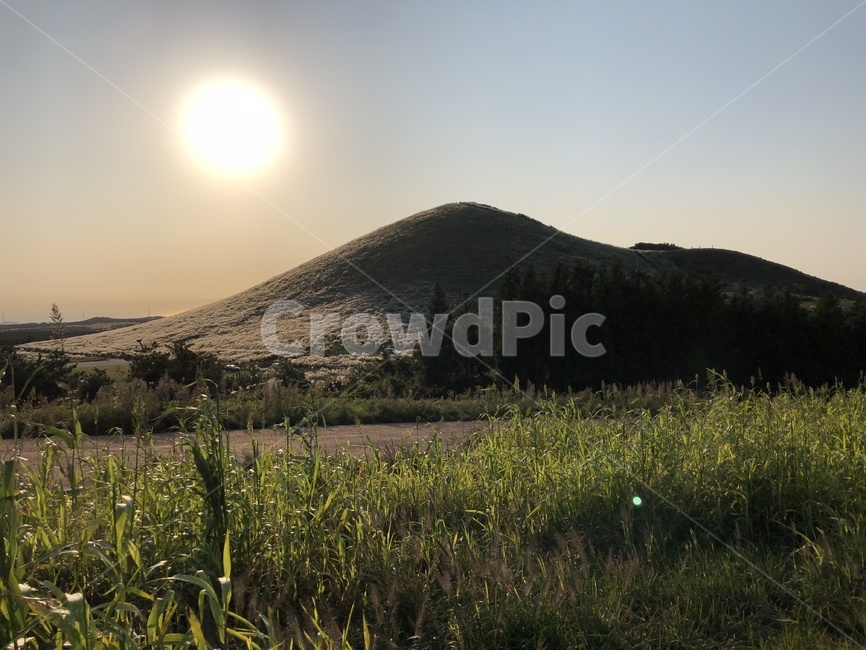 오름,제주,가을,10월,햇빛,따스함,자연,풍경,nature,landscape,outdoors,옥외,grassland,목초지,field,들