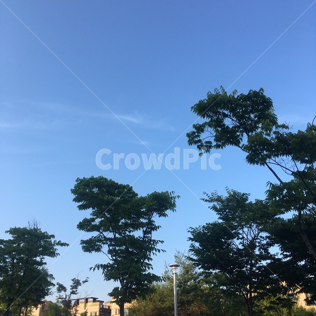 자연,nature,하늘,감성,파란하늘
