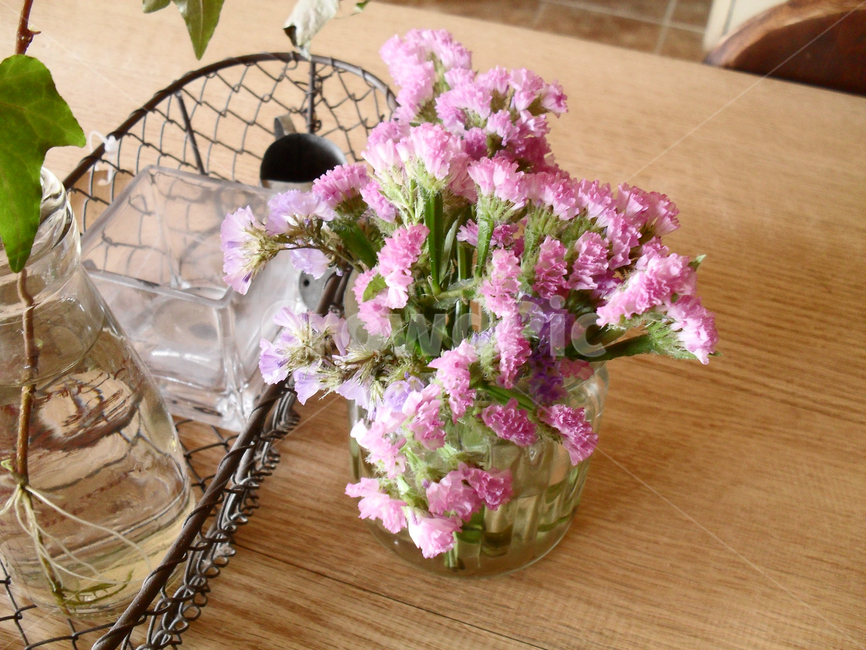 스타티스,꽃부케,flowerbouquet,flowerarrangement,plant,flower,꽃,꽃꽂이,blossom