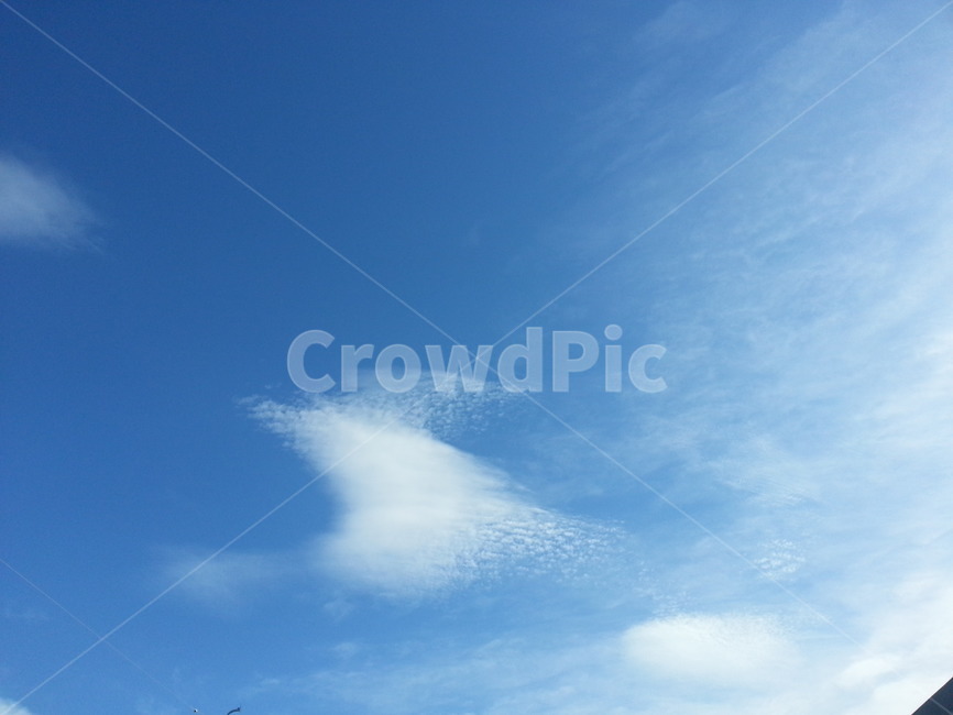 구름,하늘,파란하늘,뭉게구름,특이한구름,cloud,sky,풍경,노을,특별한,모양