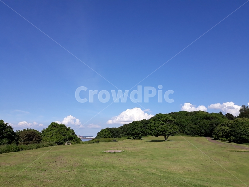 field,들,outdoors,옥외,grassland,목초지,시골,countryside,portishead,포티스헤드,영국,uk,자연,풍경,nature,landscape